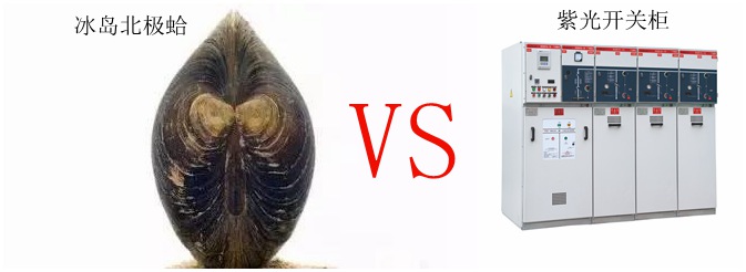 论长寿只服冰岛北极蛤，选高压开关柜认准188金宝博